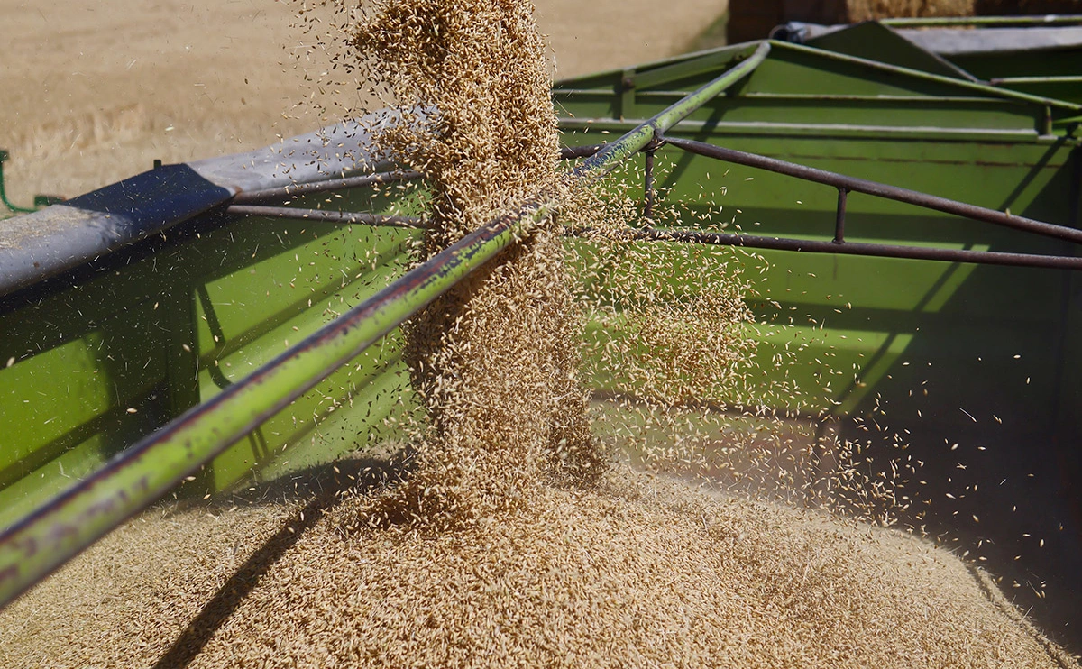 Hannibal Hanschke / Getty Images