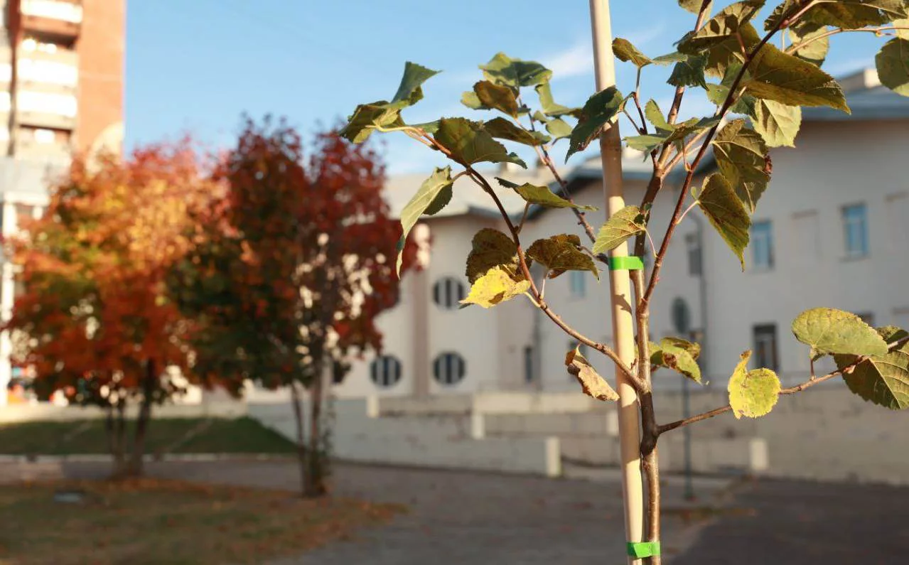 Телеграм-канал Ивана Носкова