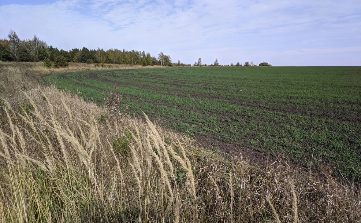 РБК Черноземье