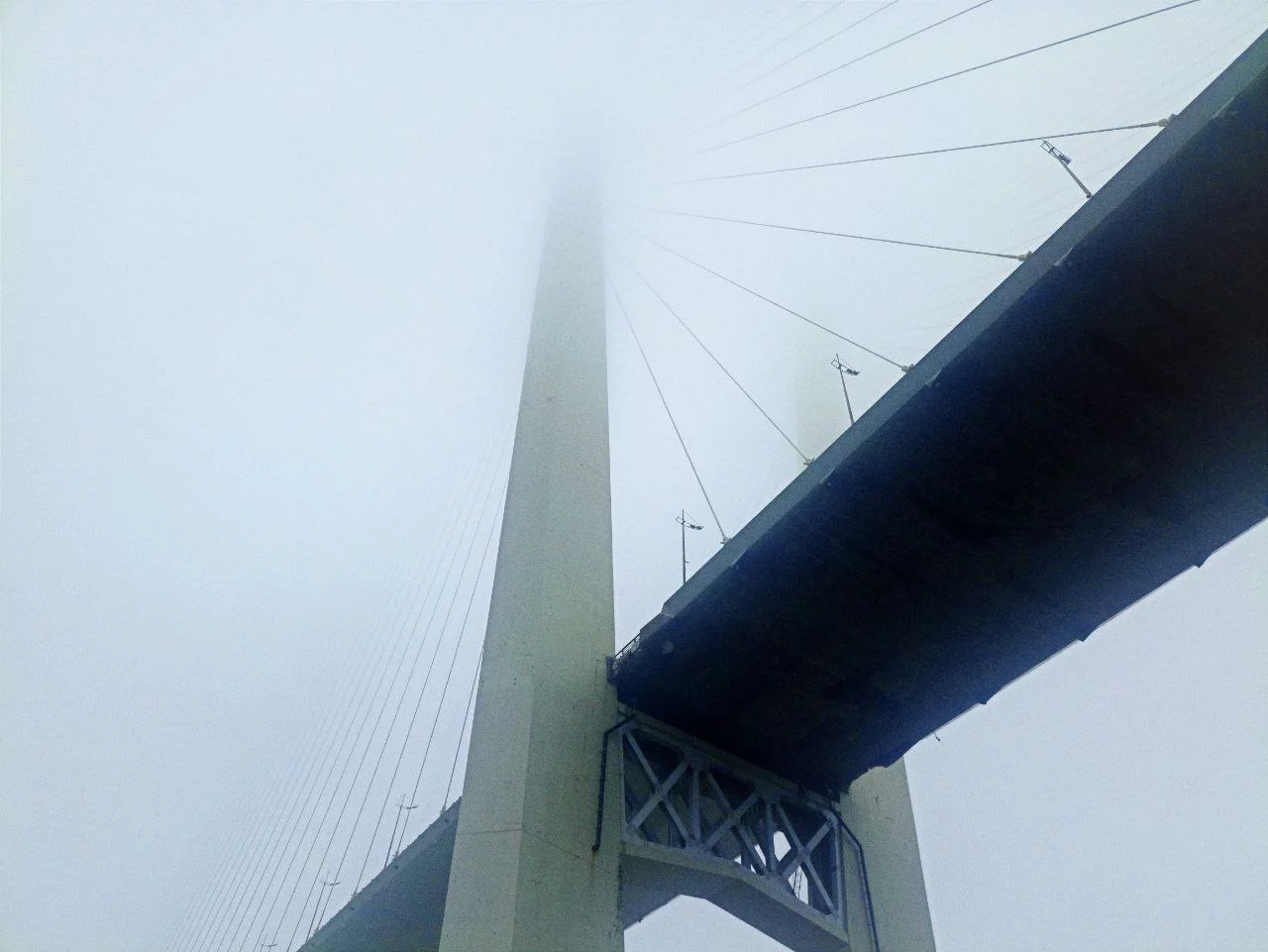 РБК Приморье