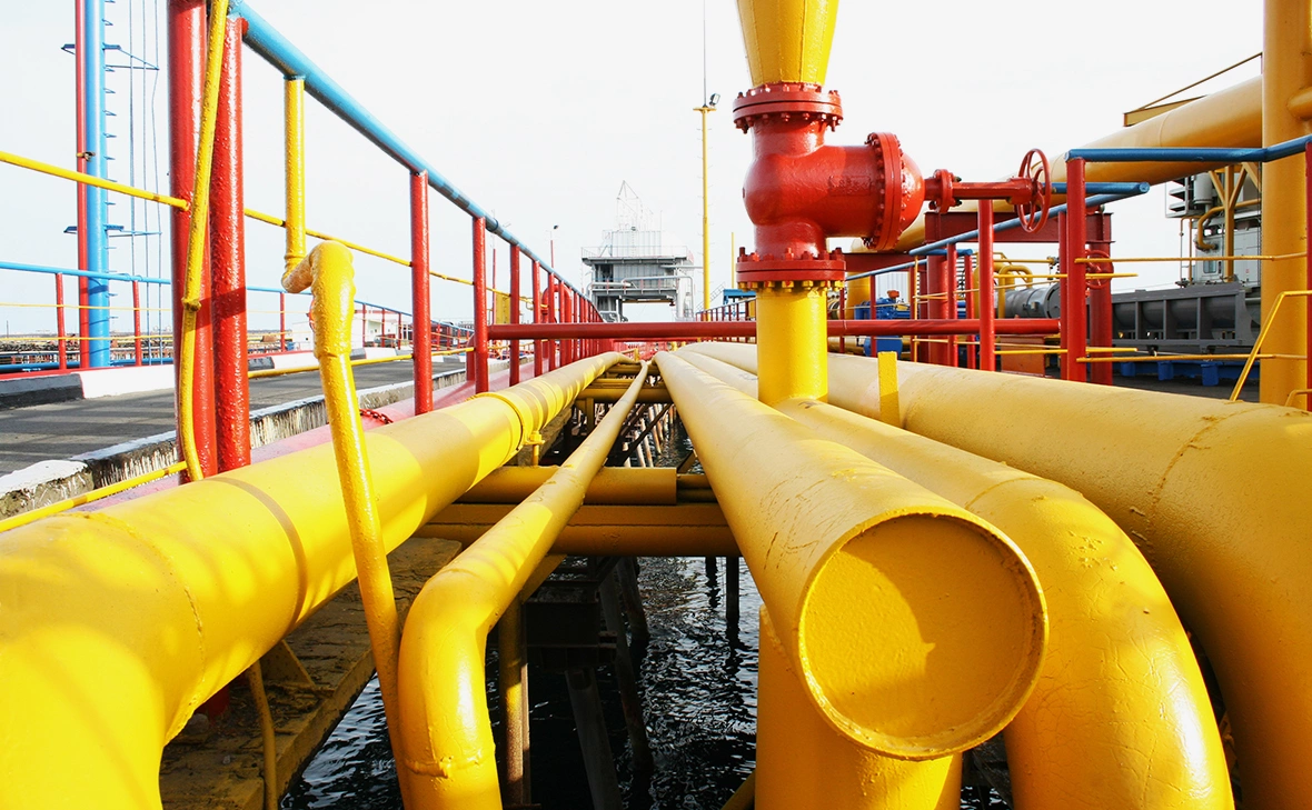 Polad Gasimov / Shutterstock