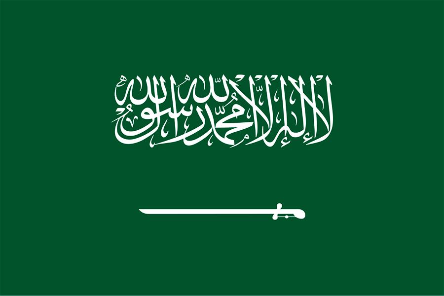 Фото: Hafiz Wahba / Wikipedia