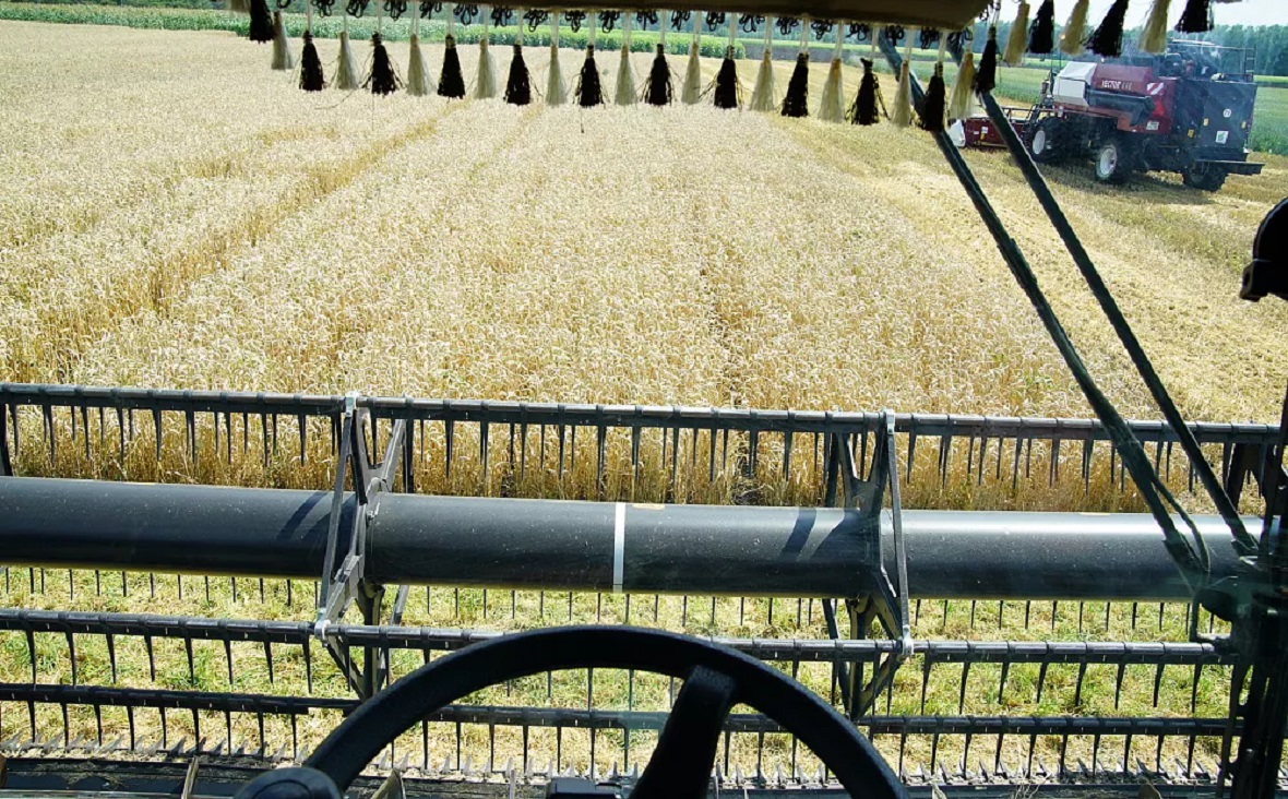 Фото: Минсельхоз РБ