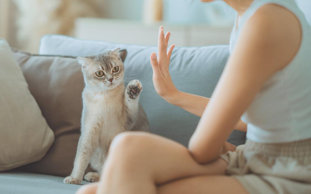 Фото: Shutterstock