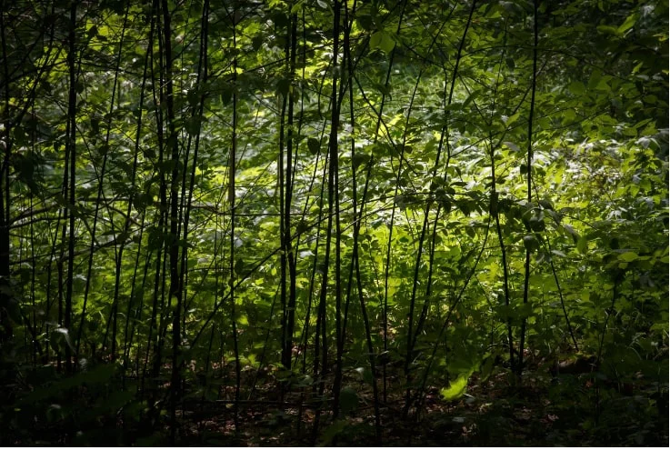 Илья Московец / РИА URA.RU