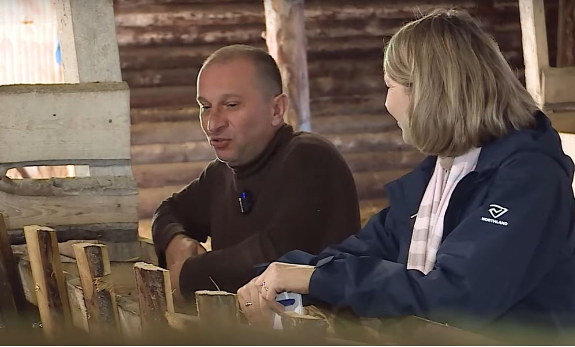 Шекснинский фермер завел видеоблог для рассказа о выращивании овец
