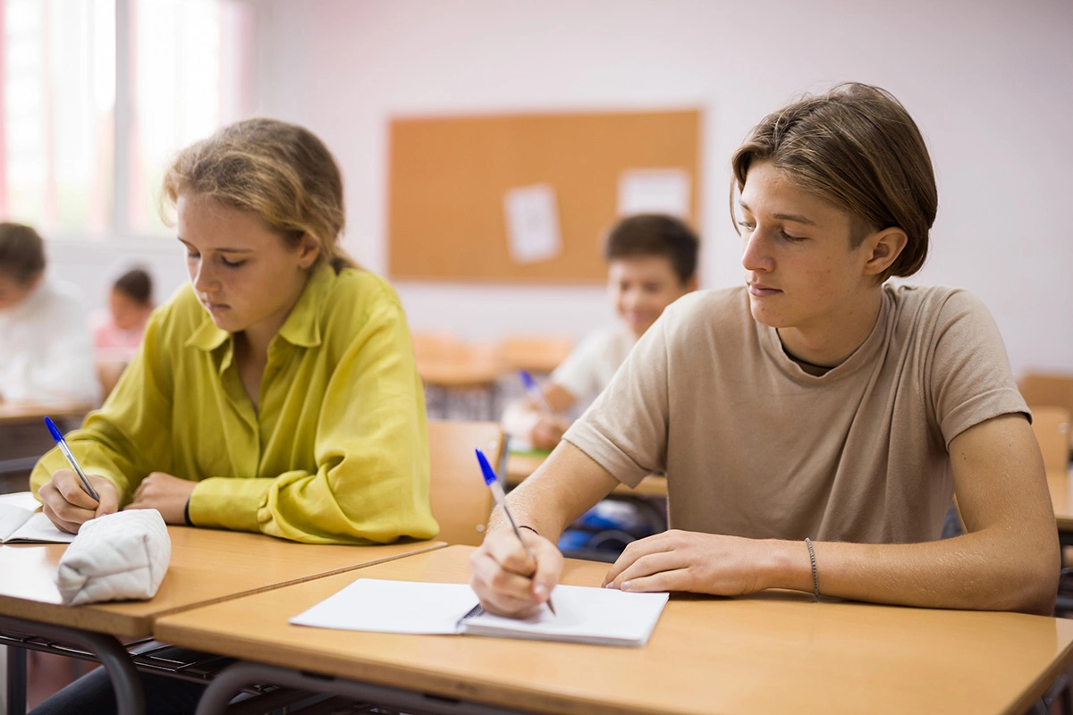 Темы сочинений-рассуждений могут затрагивать самые разнообразные вопросы, например философские, экологические или социальные