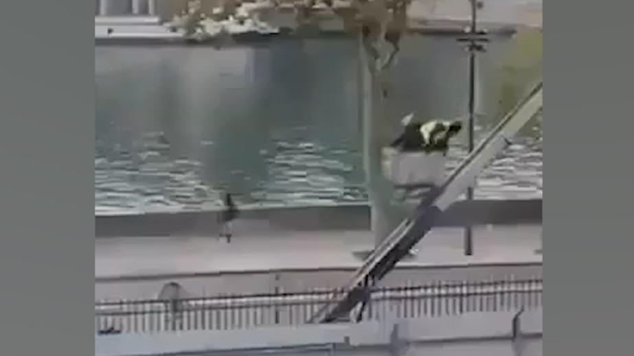 Во Франции арестовали двоих подозреваемых в ограблении Лувра