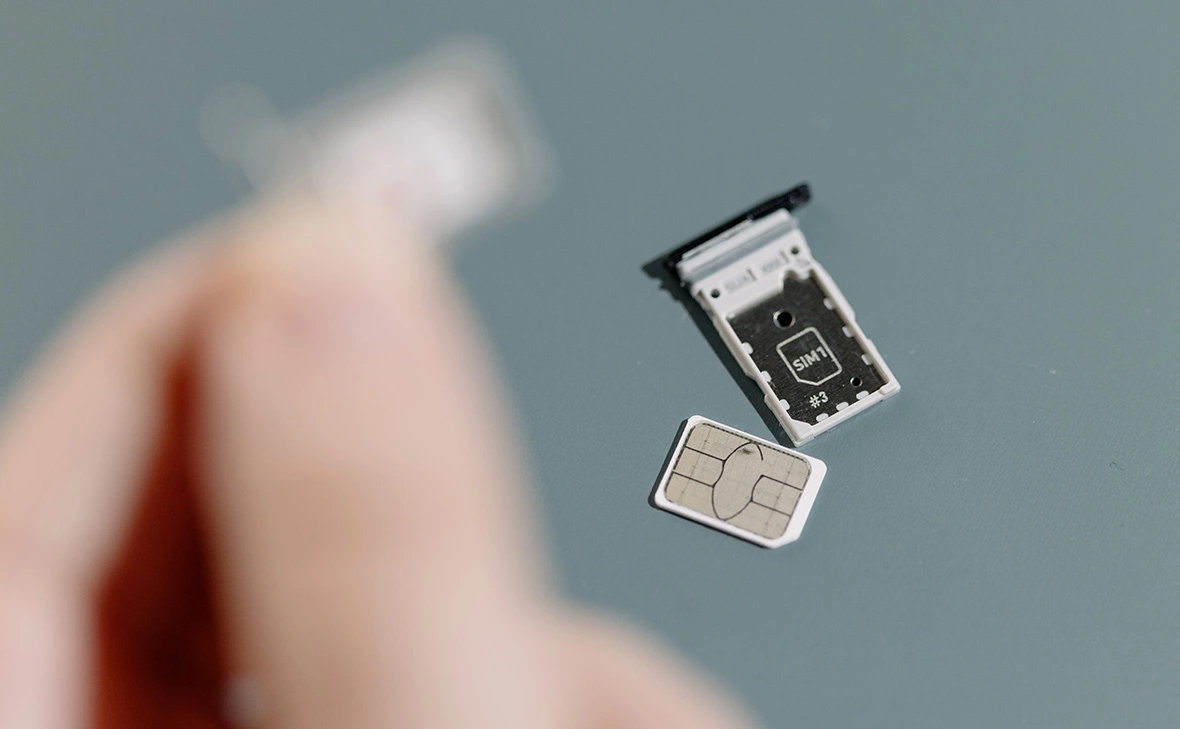 Михаил Гребенщиков / РБК