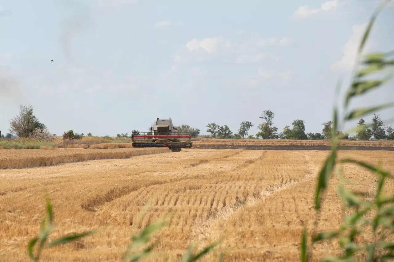 Таисия Воронцова / РИА URA.RU
