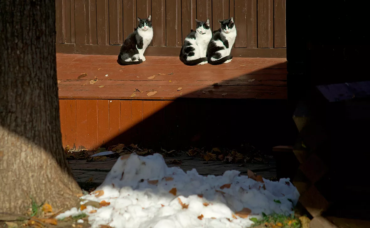 АГН «Москва»