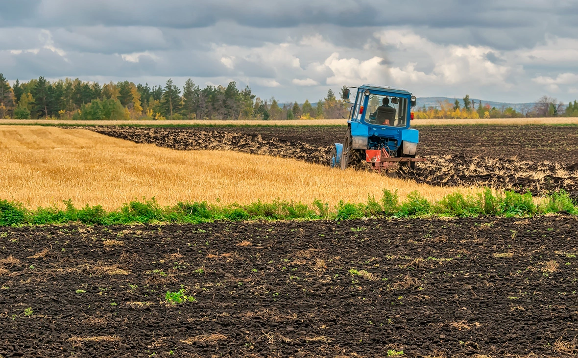 Olga_Olechka / Shutterstock