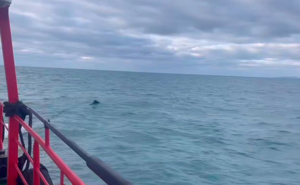 Оперативный штаб - Краснодарский край