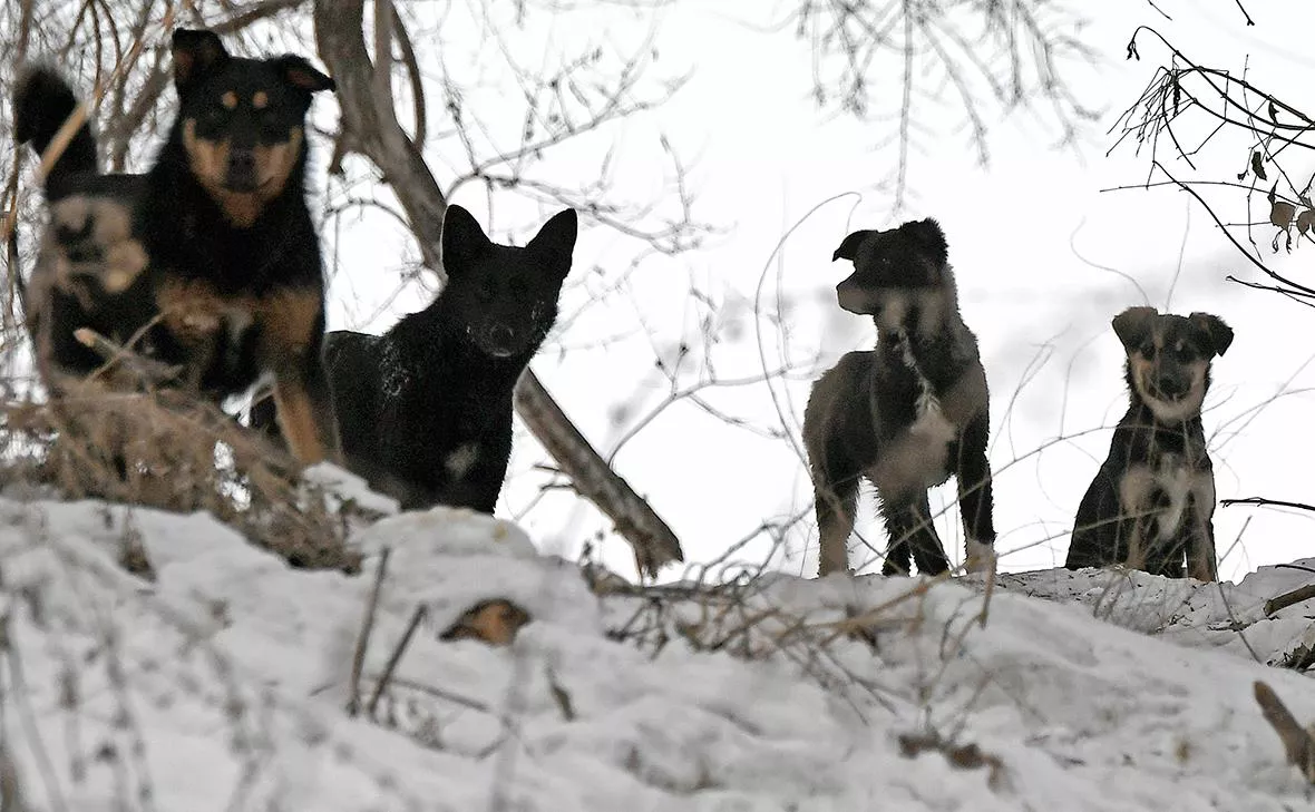 Илья Наймушин / РИА «Новости»