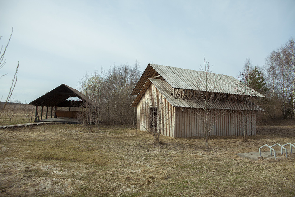 &laquo;Функциональное мычание&raquo;, Оскар Мадера. 2011 год