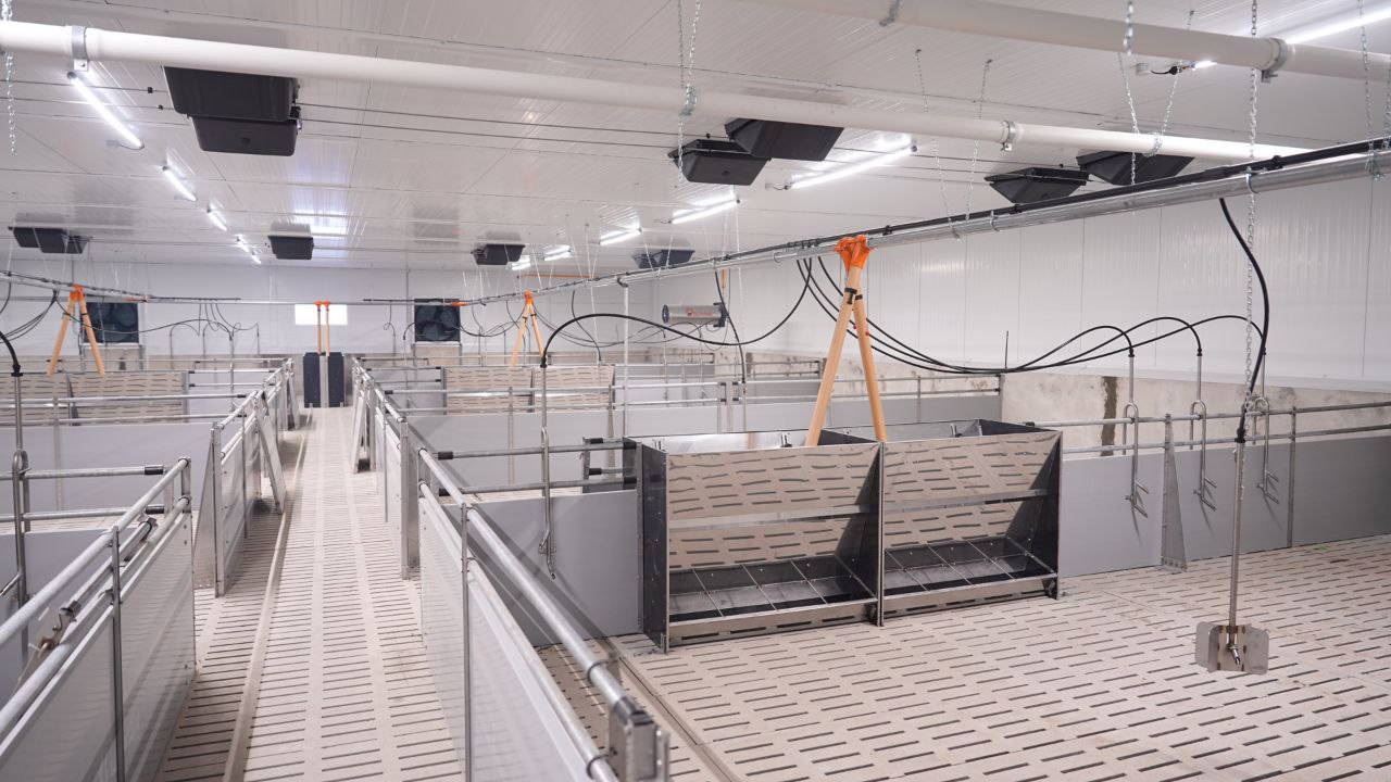 Фото: Вести35.рф