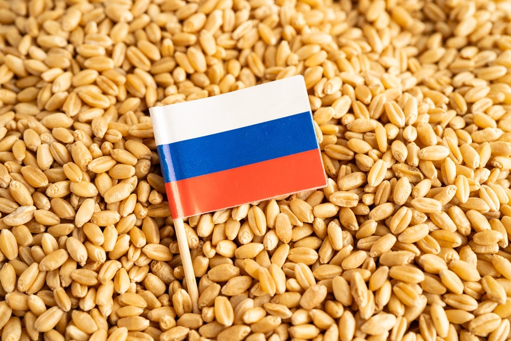Если порядок установлен постановлением (например, нужен номер из реестра) — заказчик обязан просить только этот номер