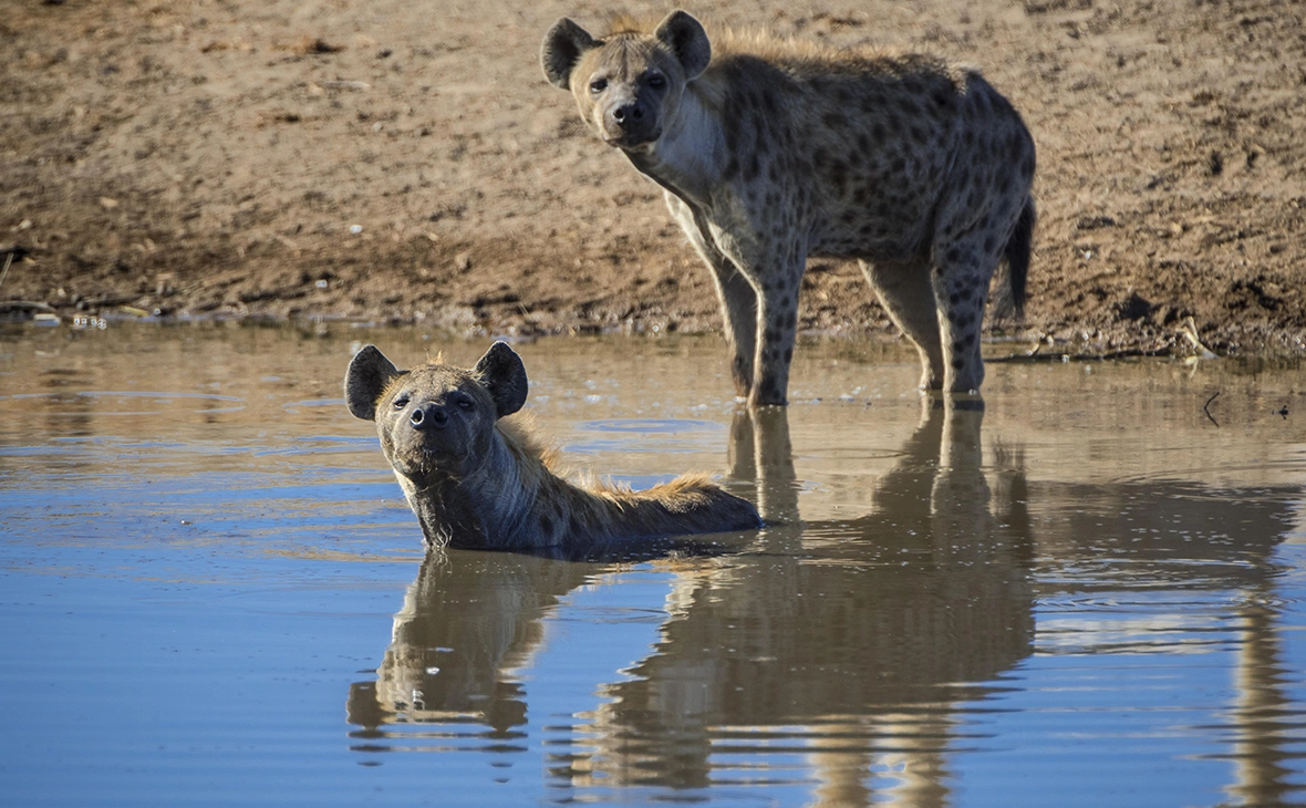 Matthias Graben / imagebroker.com / Global Look Press