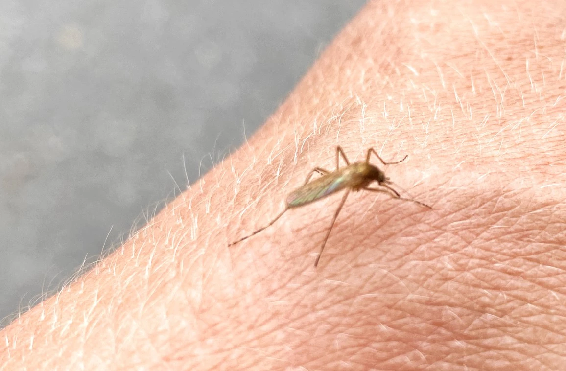 Екатерина Сычкова / РИА URA.RU