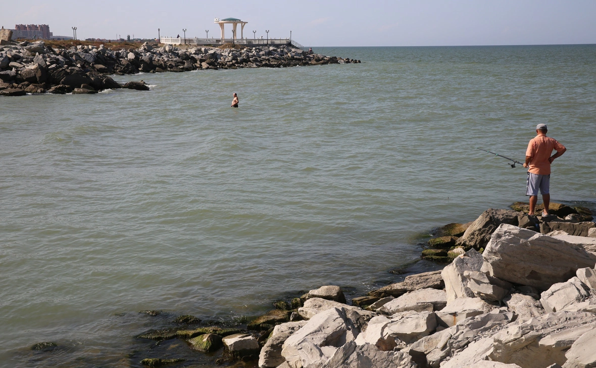 Елена Афонина / ТАСС