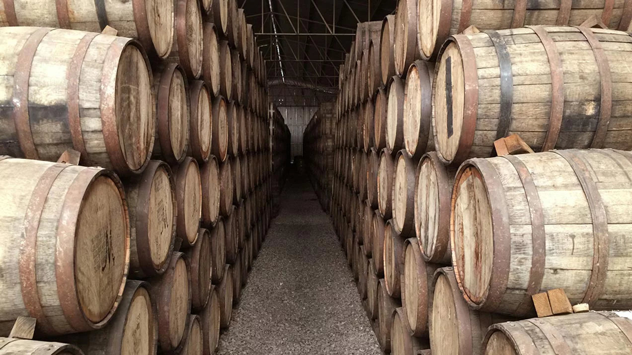 В Германии спрогнозировали минимальный за 15 лет объем производства вина