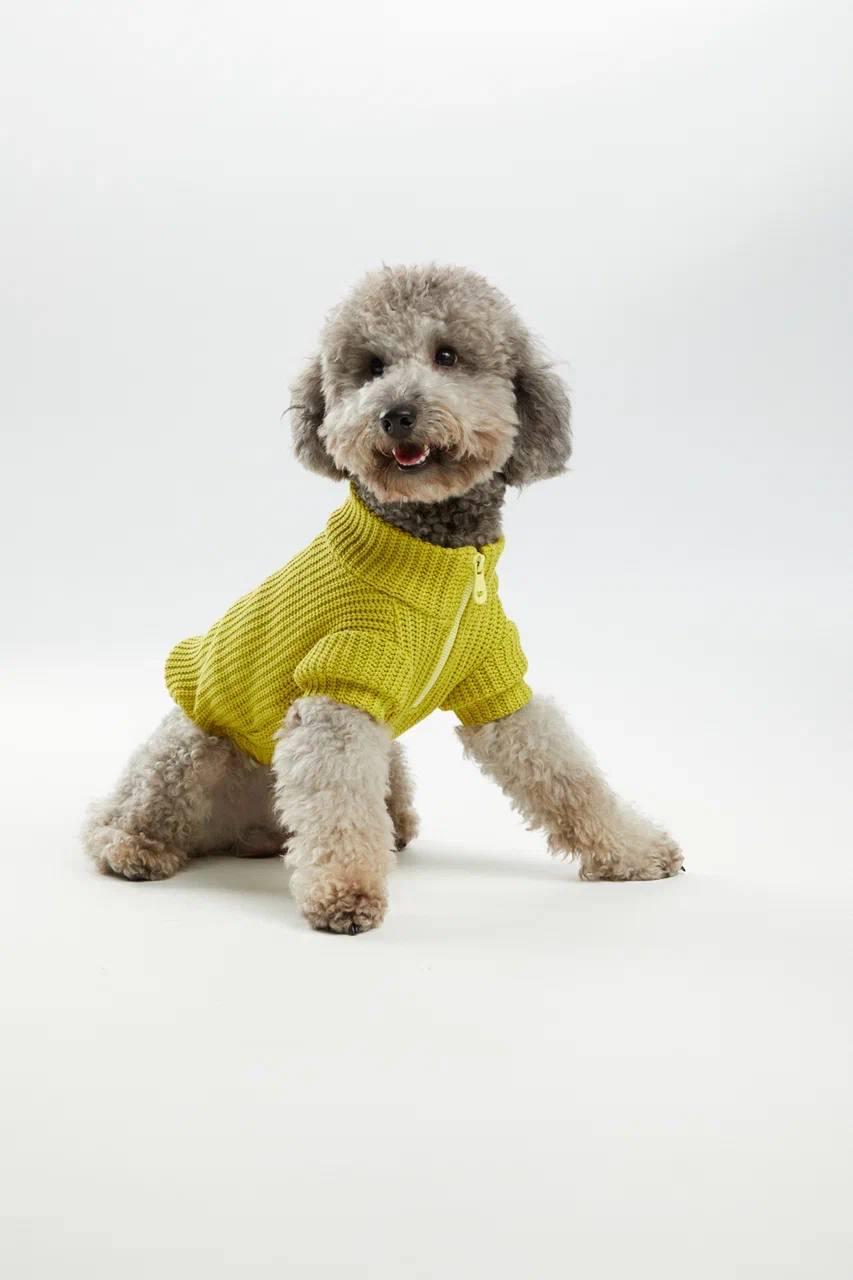 Трикотажный анорак из капсульной коллекции Pet Subject х RomaUvarovDesign