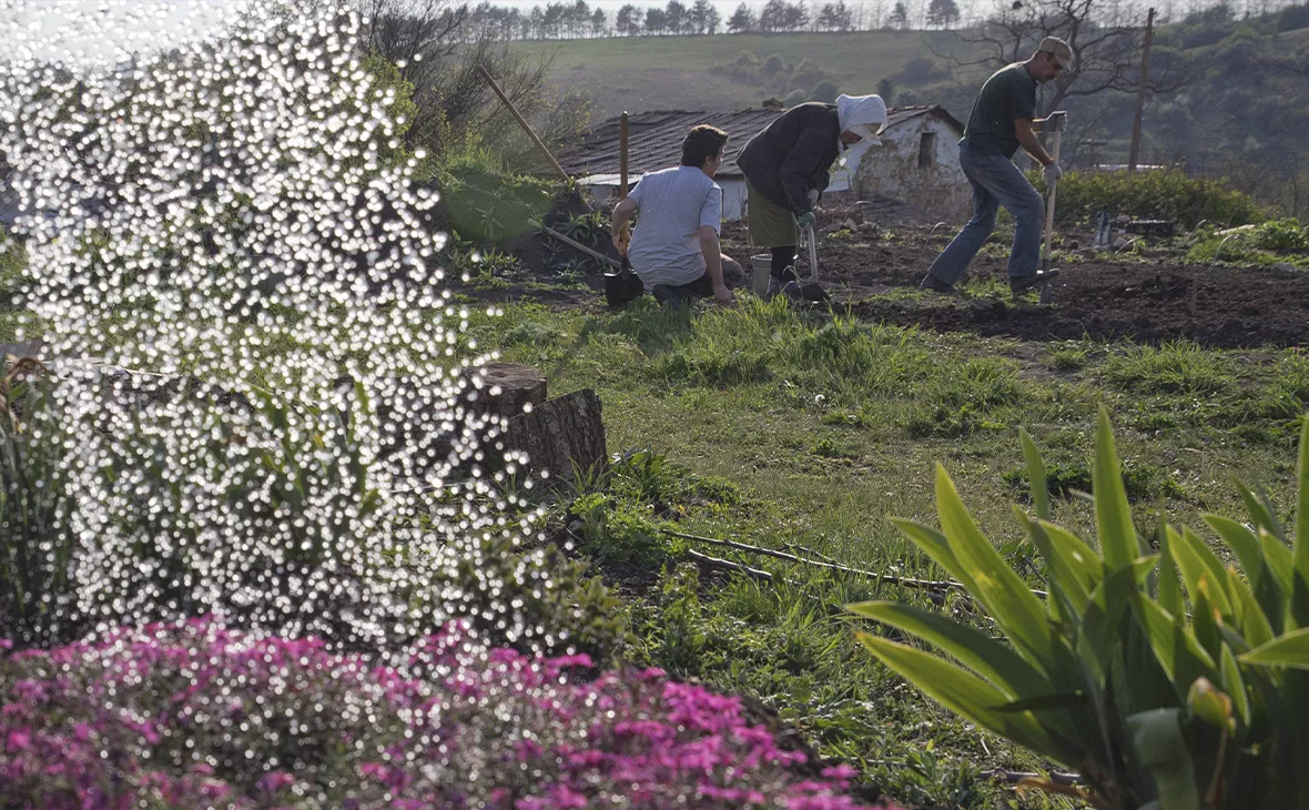 Сергей Мальгавко / ТАСС