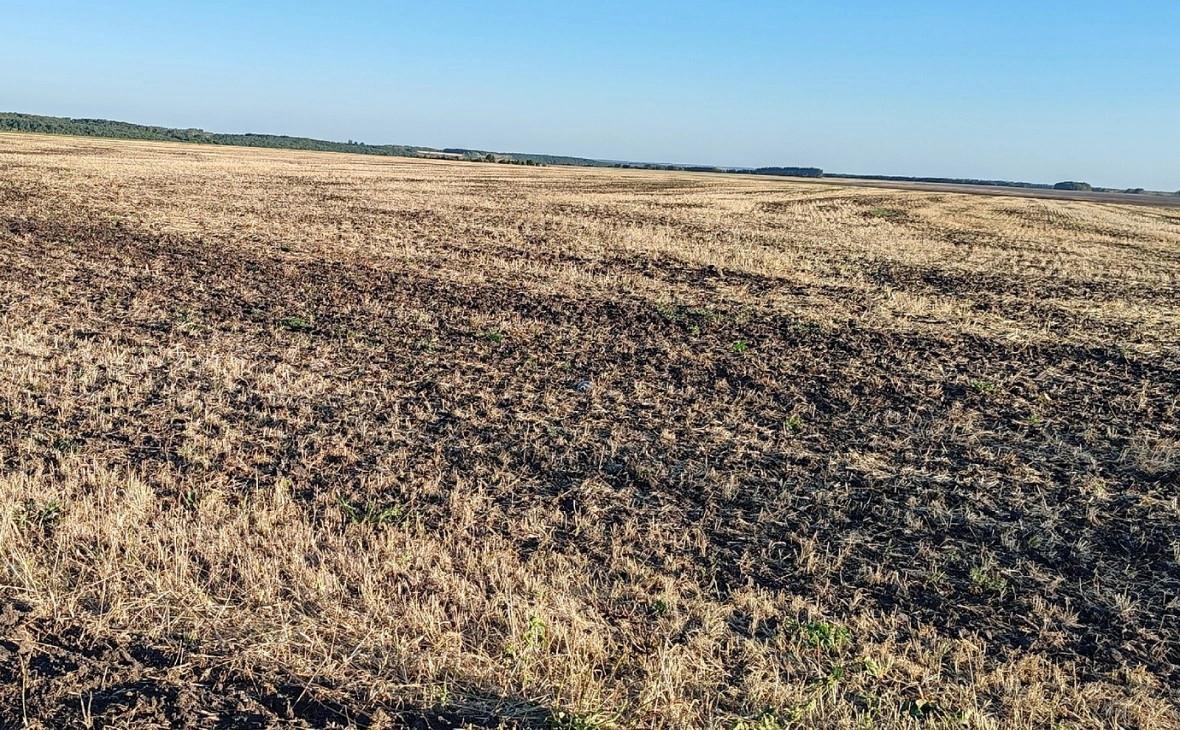 РБК Черноземье