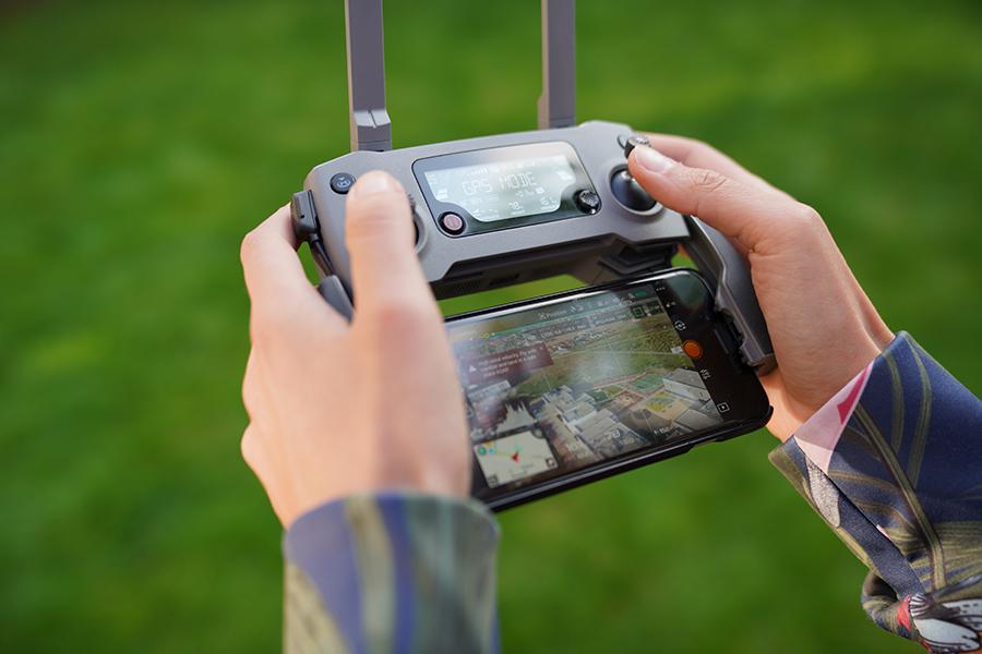 Фото: TP71 / Shutterstock