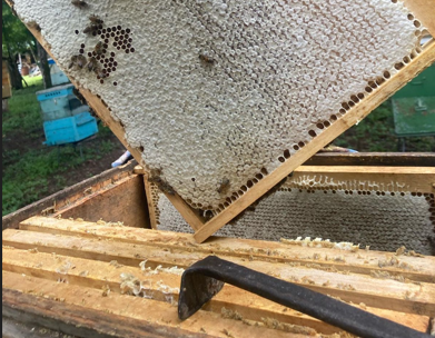 Личный архив Александра Юркина