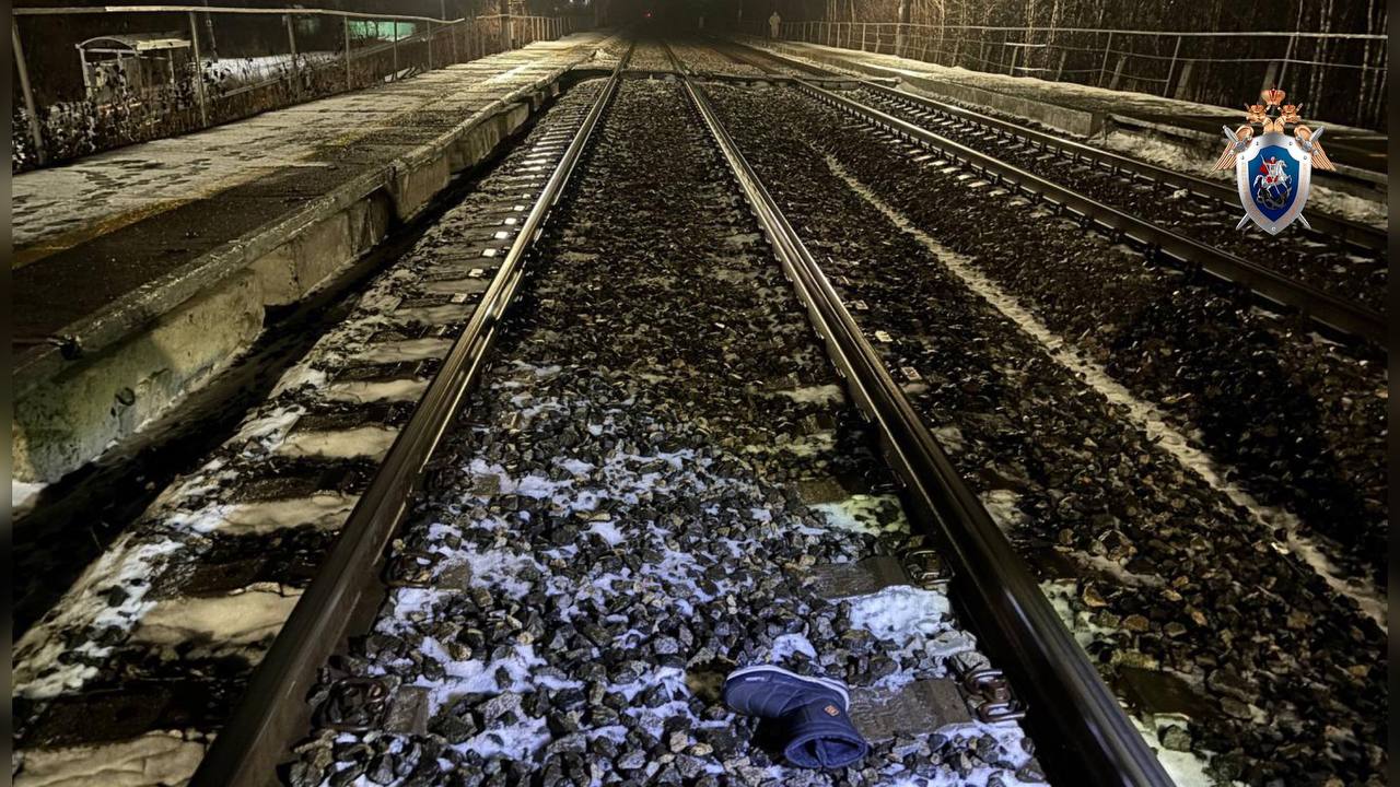 Фото: Центральное МСУТ СКР