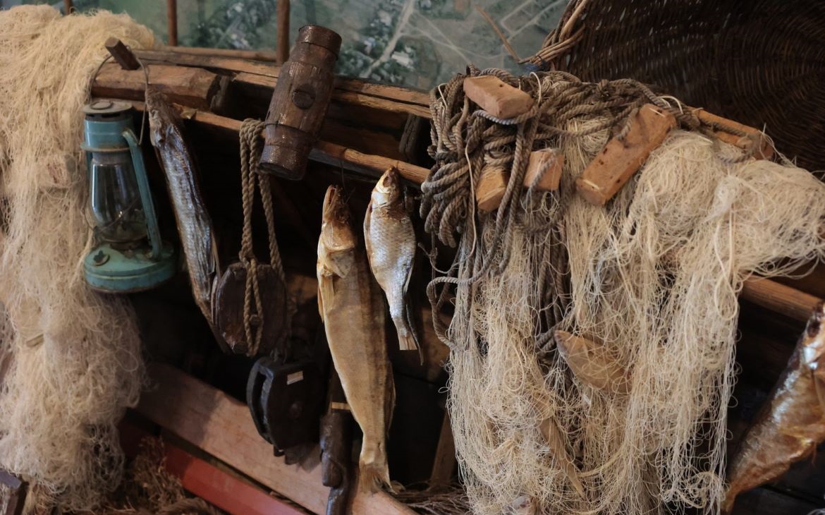 Фото: Пресс-служба правительства Ростовской области