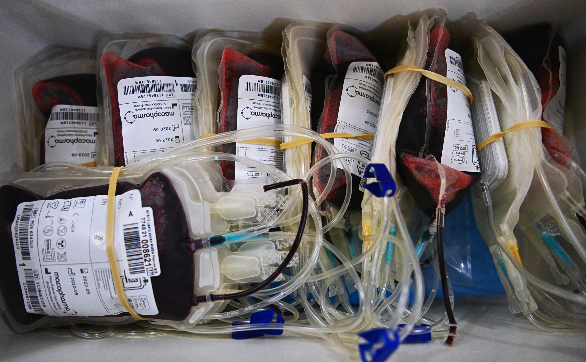 3 литра крови. Диаметр иглы для сдачи донорской крови. Литр крови в контейнере. Миксер донорской крови модель см760 Centron Corporation, Корея.