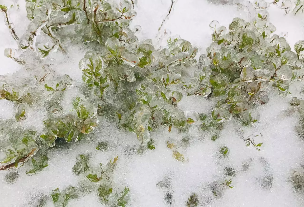 РБК Приморье