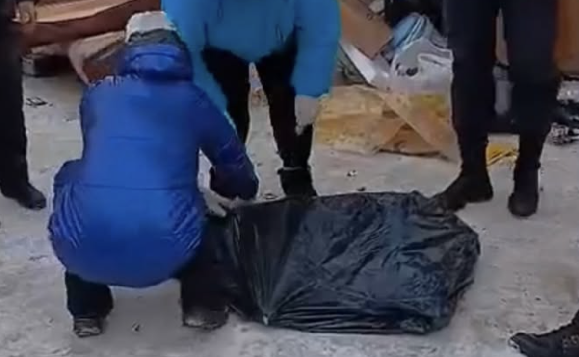 dogspas24 / Instagram (входит в корпорацию Meta, признана экстремистской и запрещена в России)