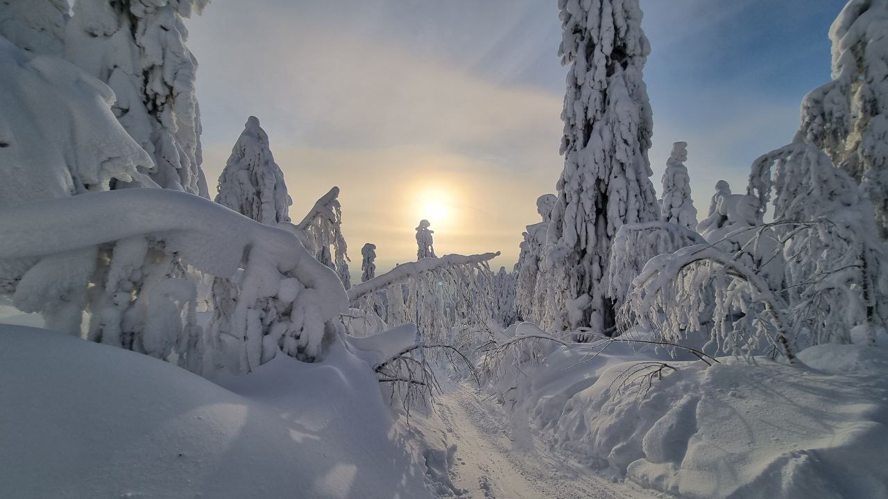 Фото: РБК Пермь