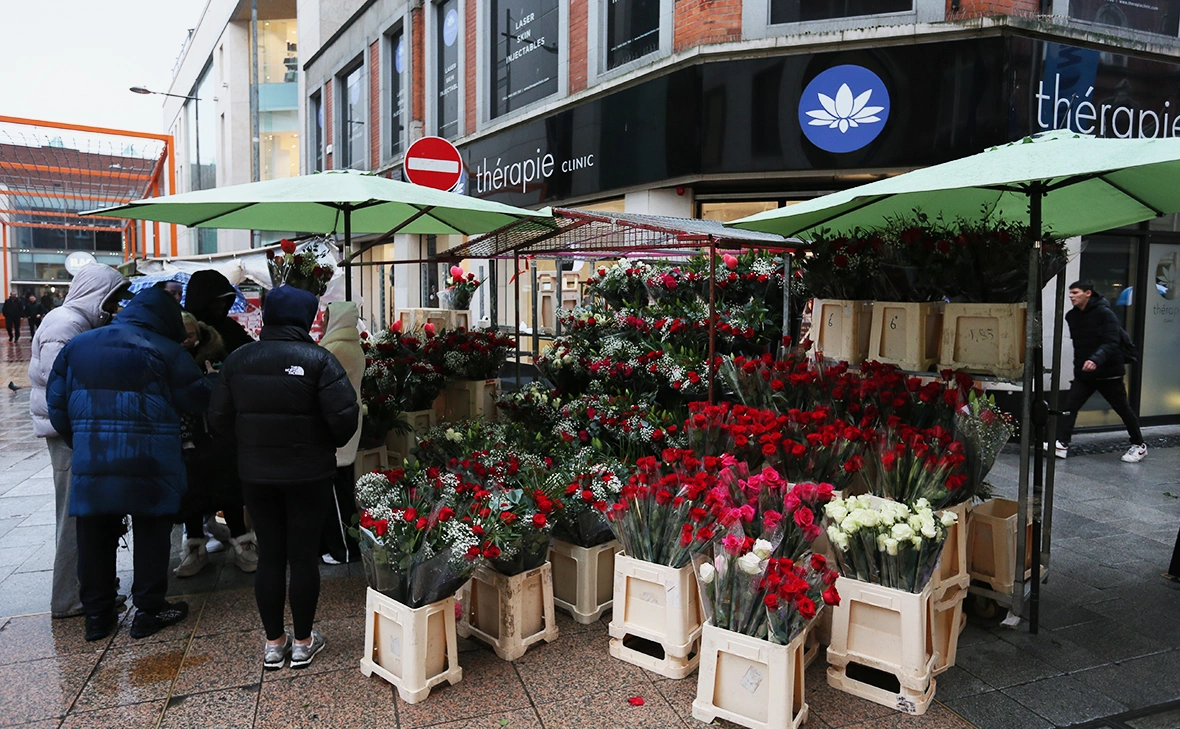 Brendain Donnelly / Shutterstock