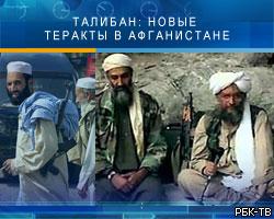 Талибан: Новые теракты потрясут Афганистан