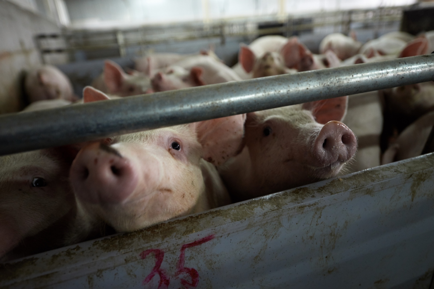 Фото: PhotoXPress.ru