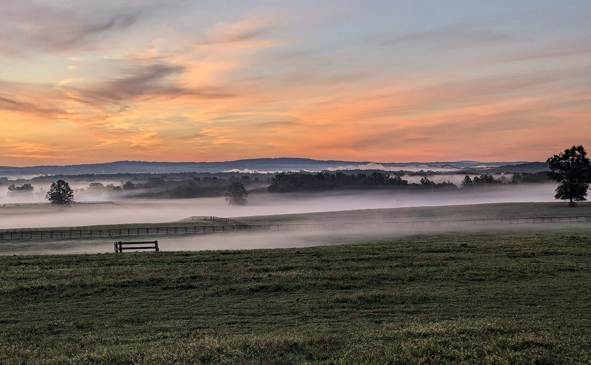 Michael LaMonica / Shutterstock