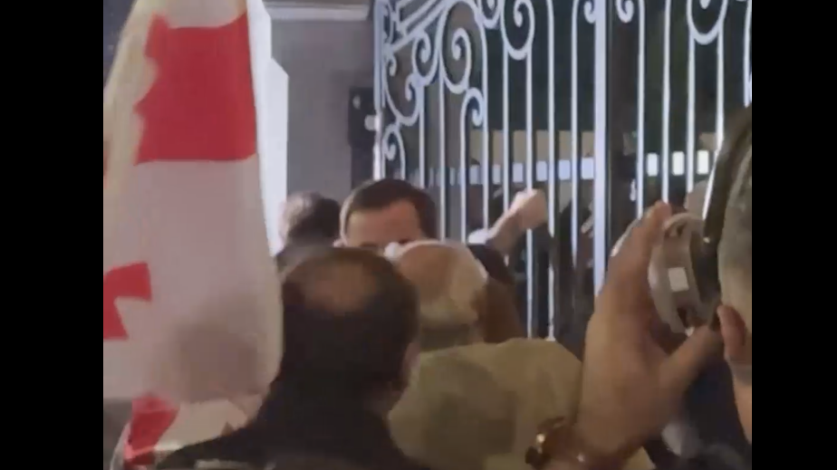 Митингующие в Тбилиси ворвались во двор президентского дворца