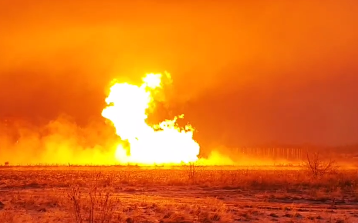 Владимир Войнов