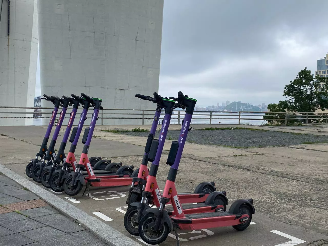 РБК Приморье