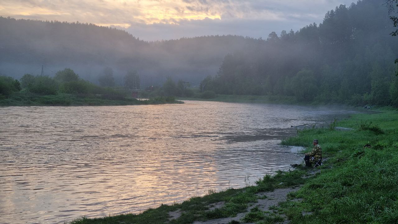 Ещё один пляж в Прикамье стал доступен для купания — РБК