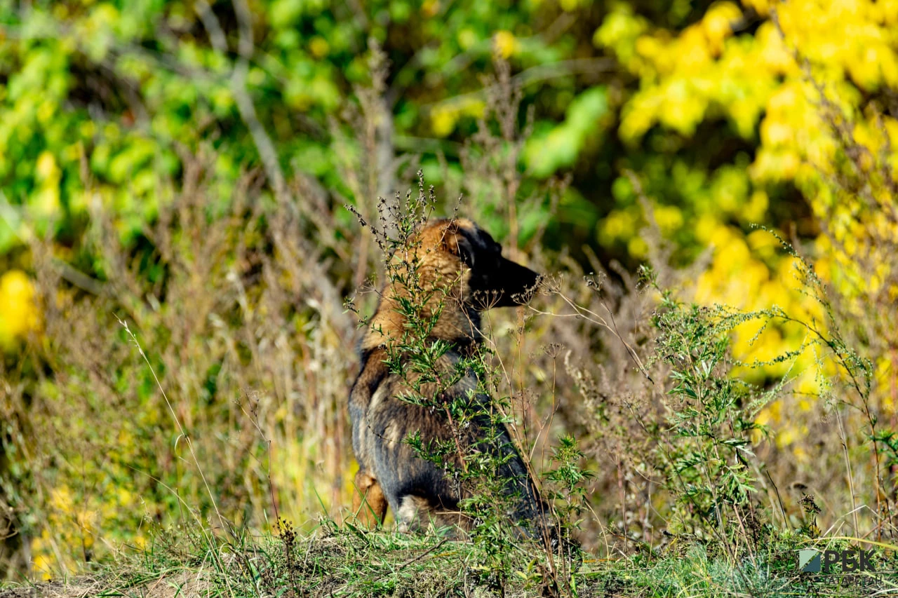 РБК Татарстан
