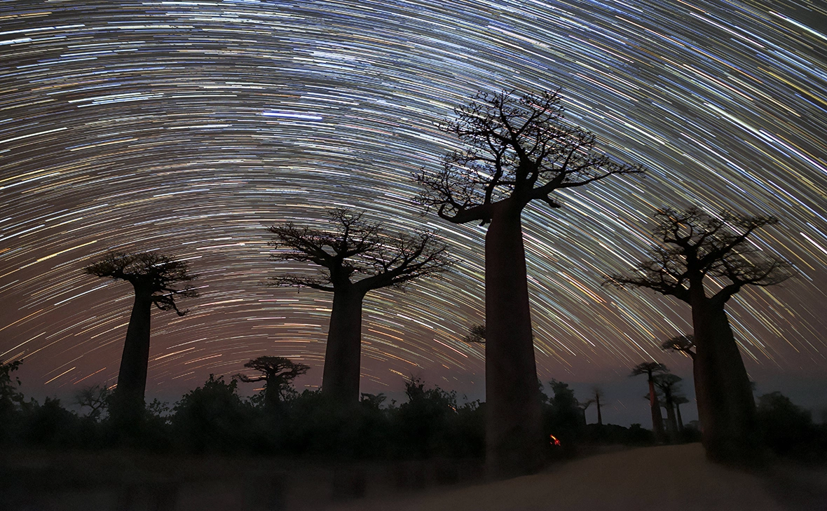 IMAGO / Science Photo Library / ТАСС