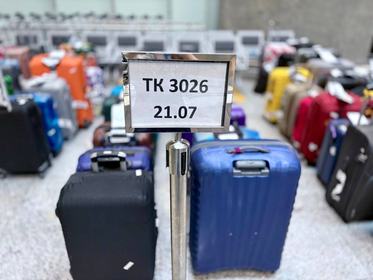 Фото: t.me/pulkovo_press