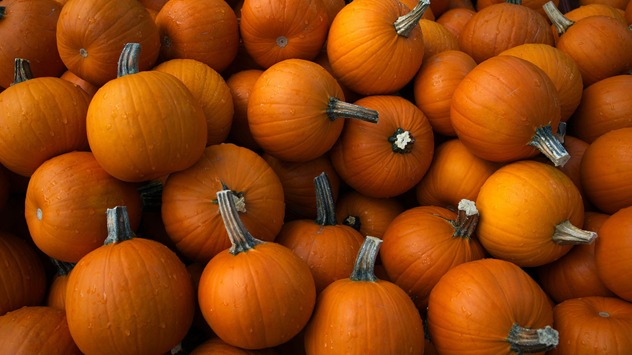 Тыква как главный ингредиент сезона: семь рецептов для дома
