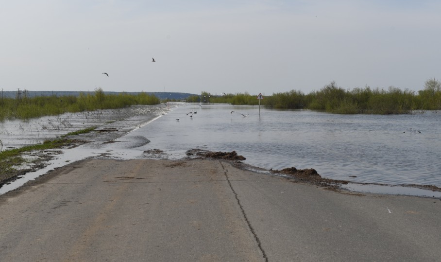 Фото: Никита Сабашников / URA.RU