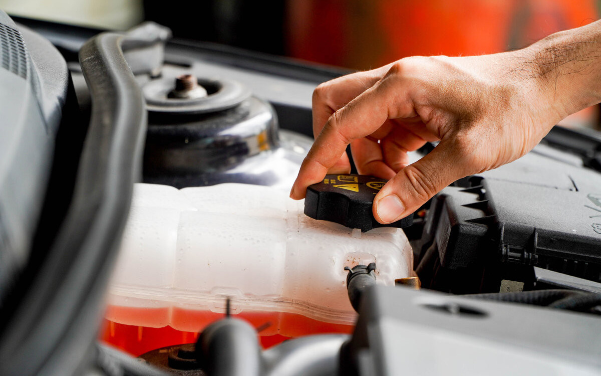 Фото: Rito Succeed / Shutterstock / FOTODOM